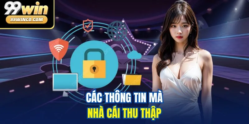 Các thông tin mà nhà cái thu thập