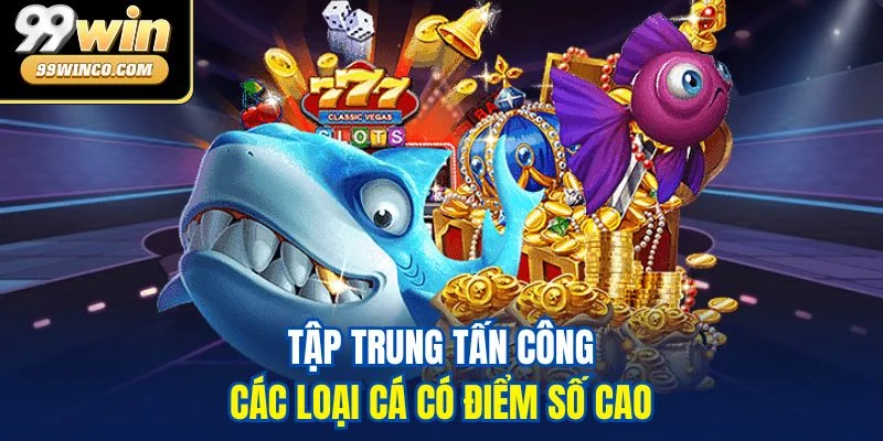 Tập trung tấn công các loại cá có điểm số cao